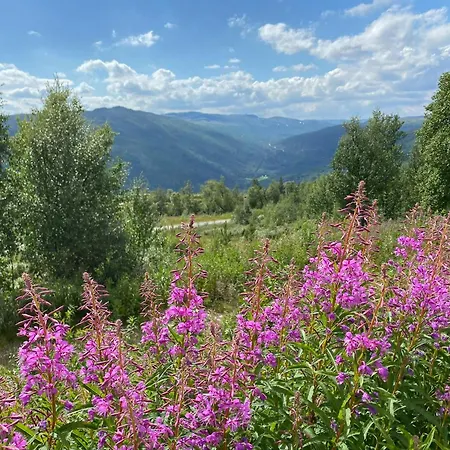 Traditional With Views Of Hardangervidda Uvdal