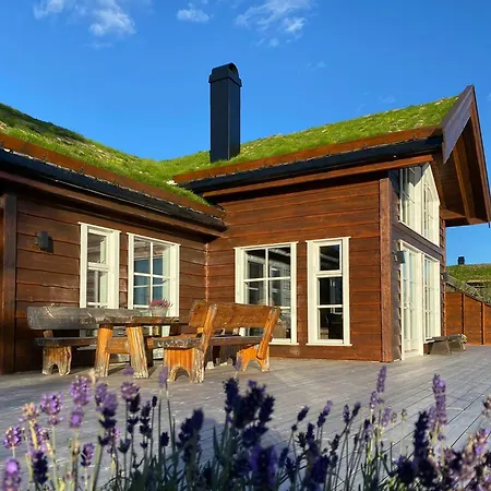Feriehus Traditional With Views Of Hardangervidda Uvdal